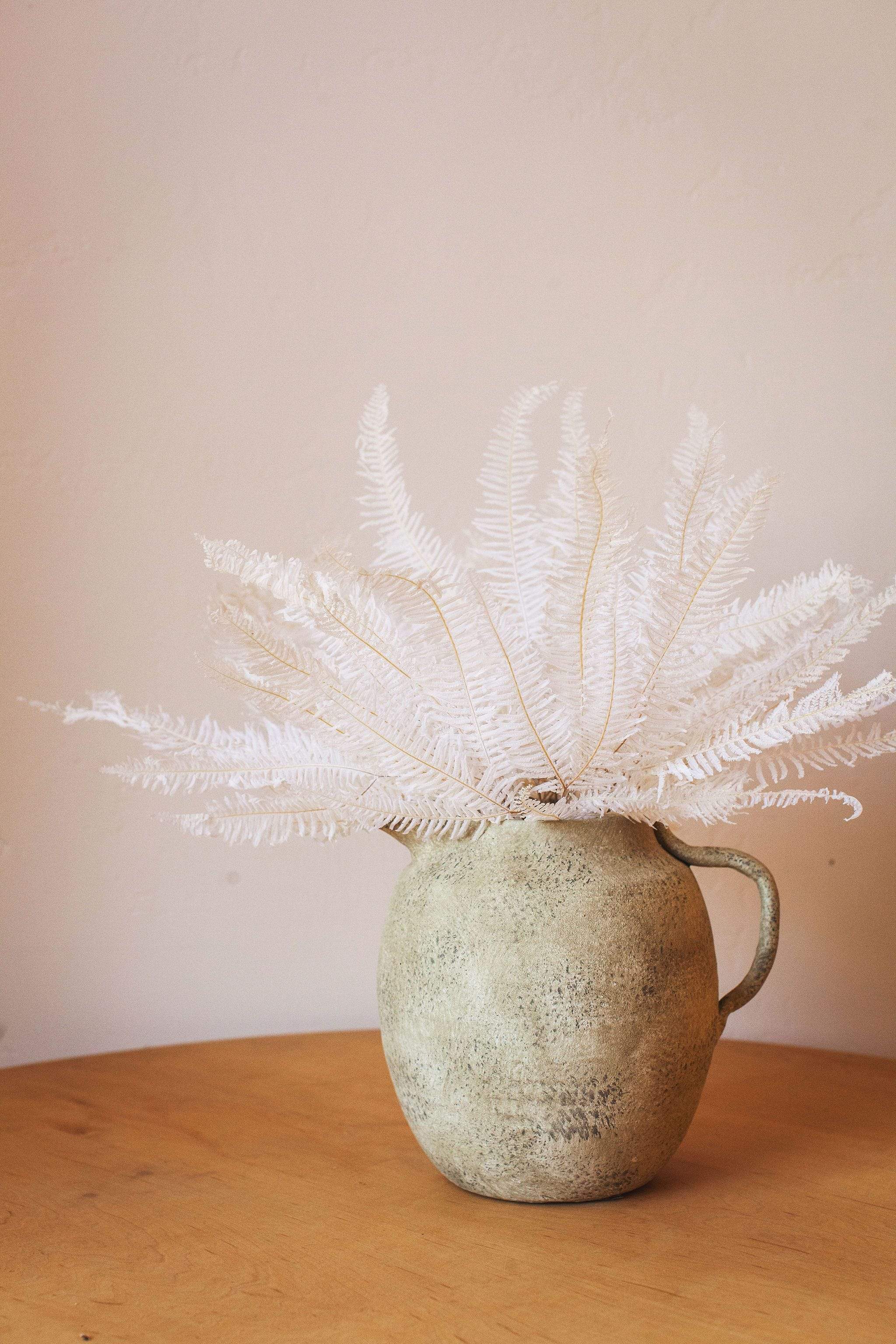 White Preserved Star Fern - Image 4