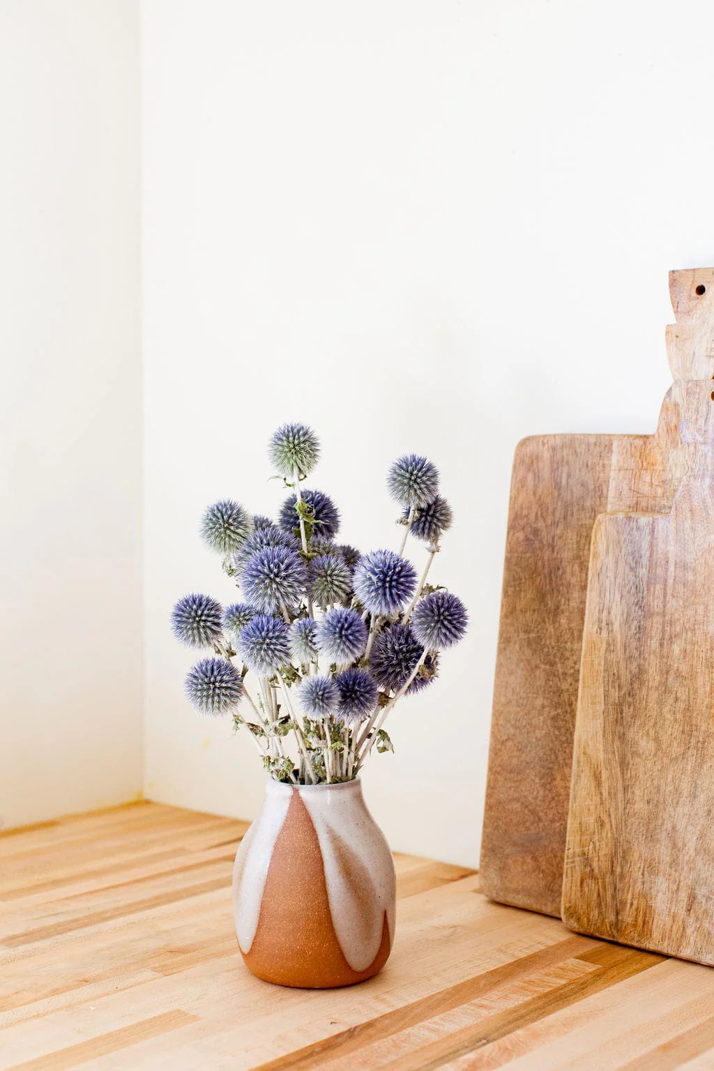 Dried Blue Globe Thistle - Image 4