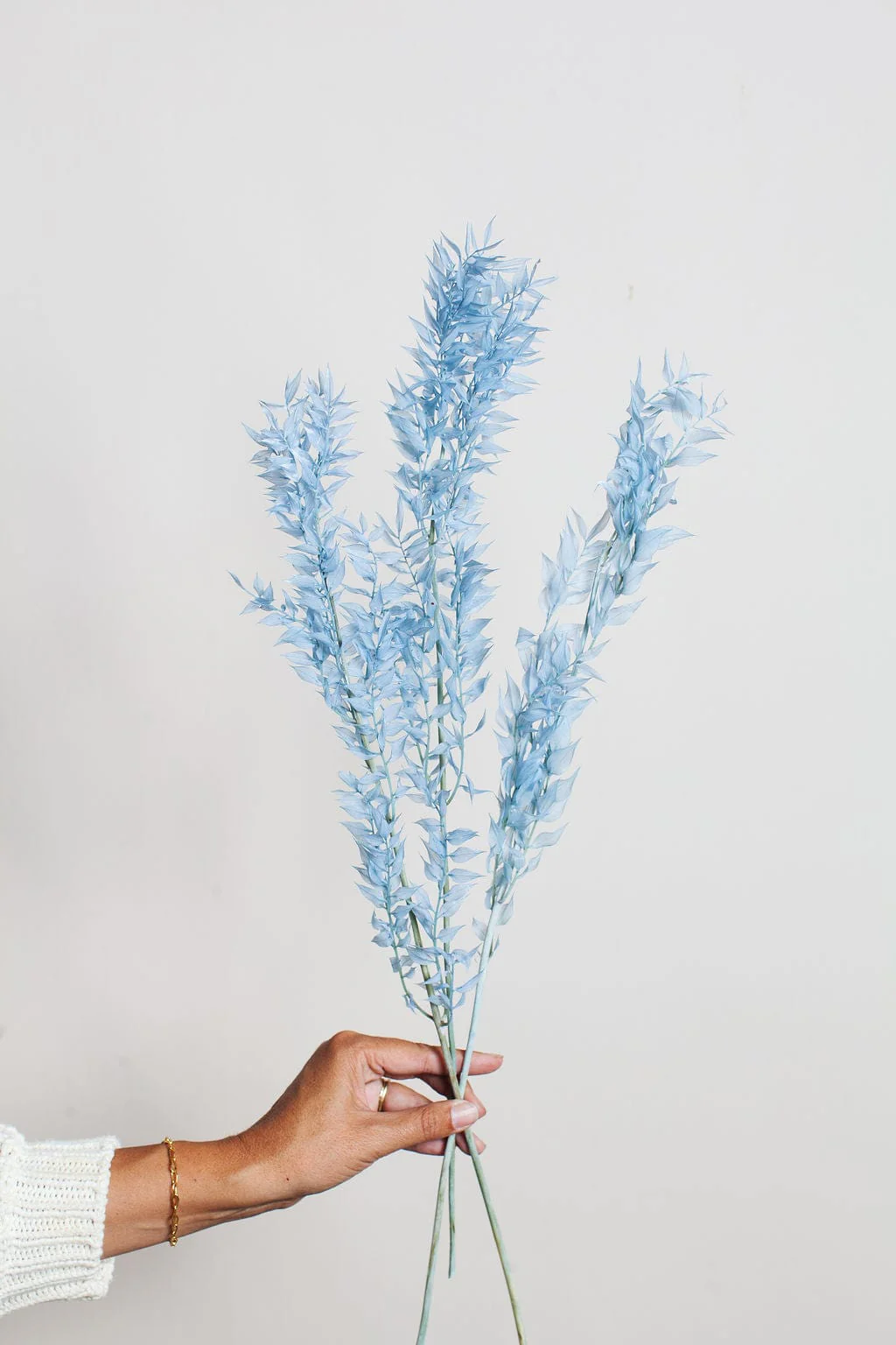 Blue Preserved Ruscus - Image 3