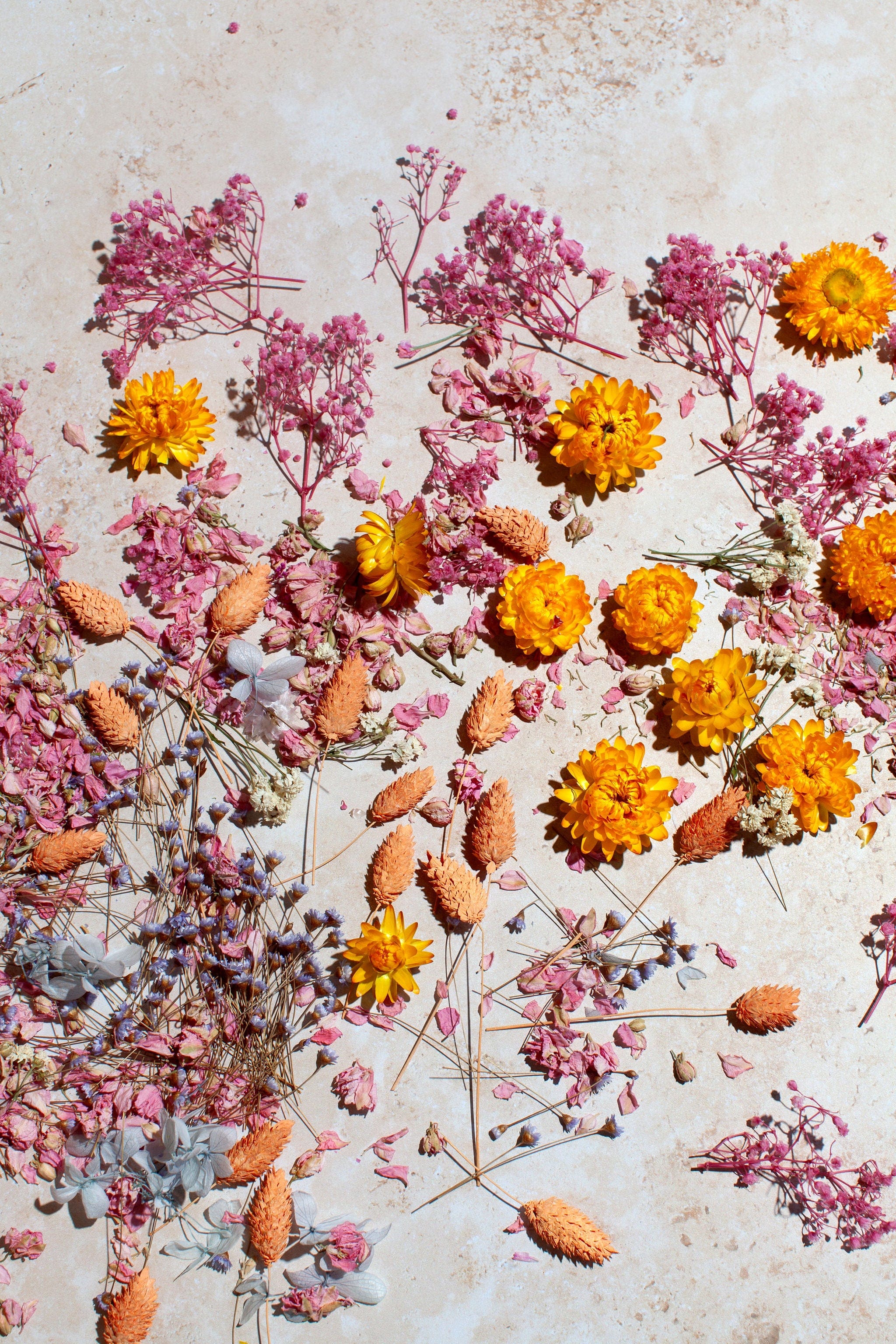 Dried Flower Confetti - Image 3