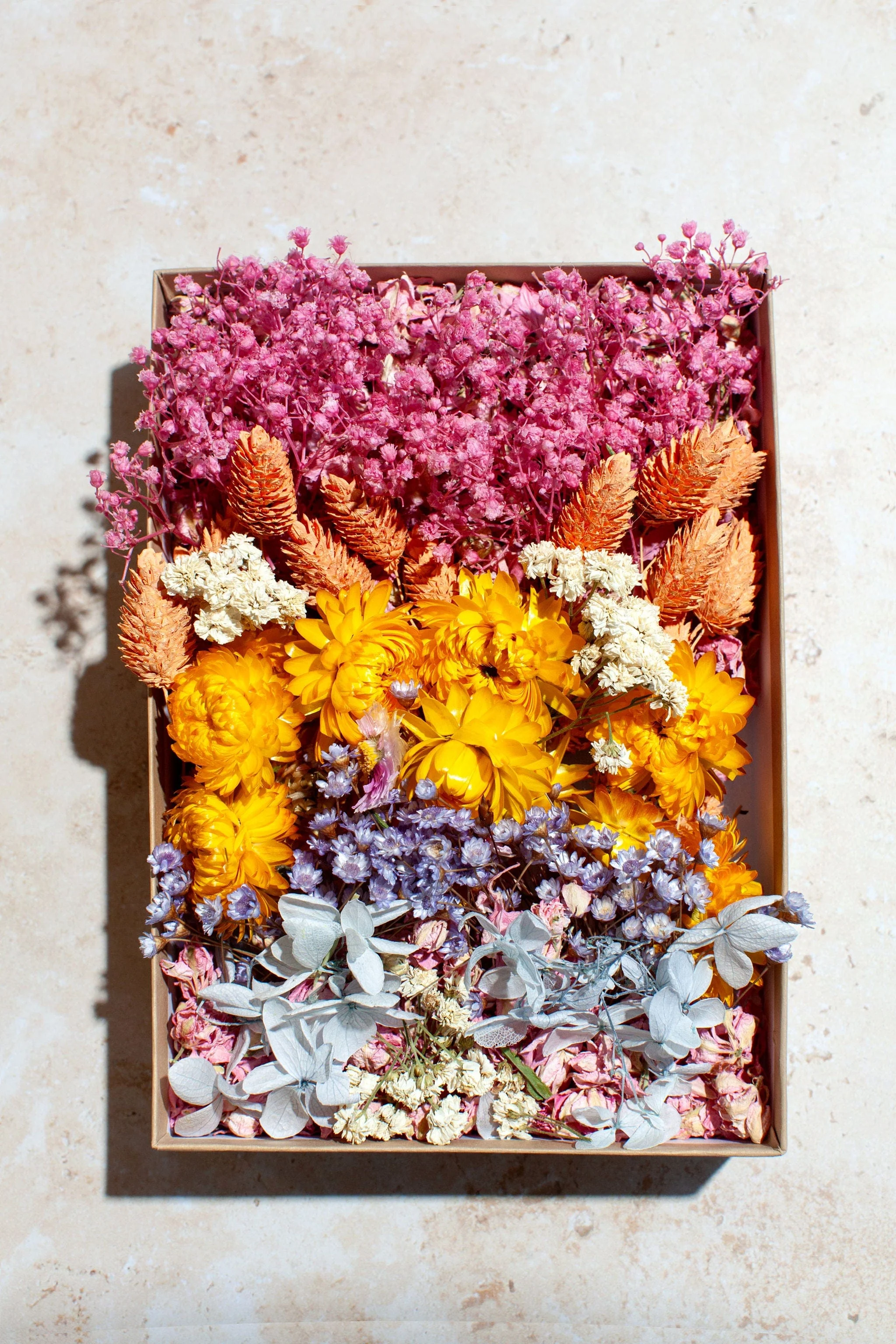 Dried Flower Confetti - Image 4
