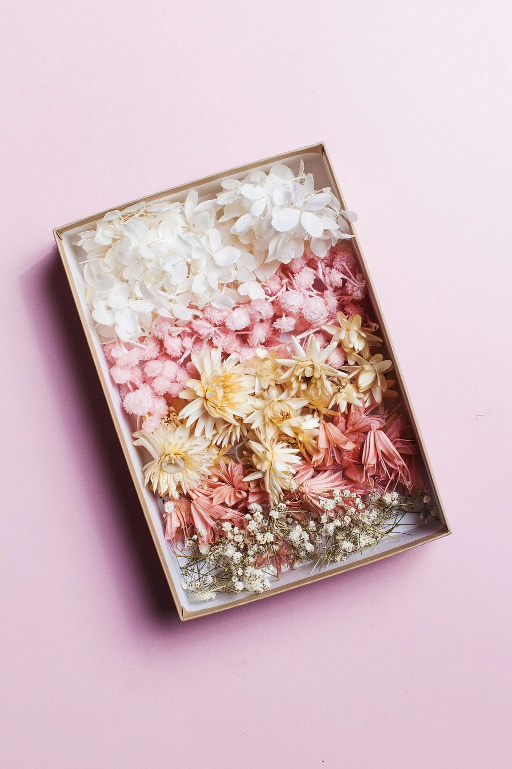 Dried Flower Confetti - Image 5