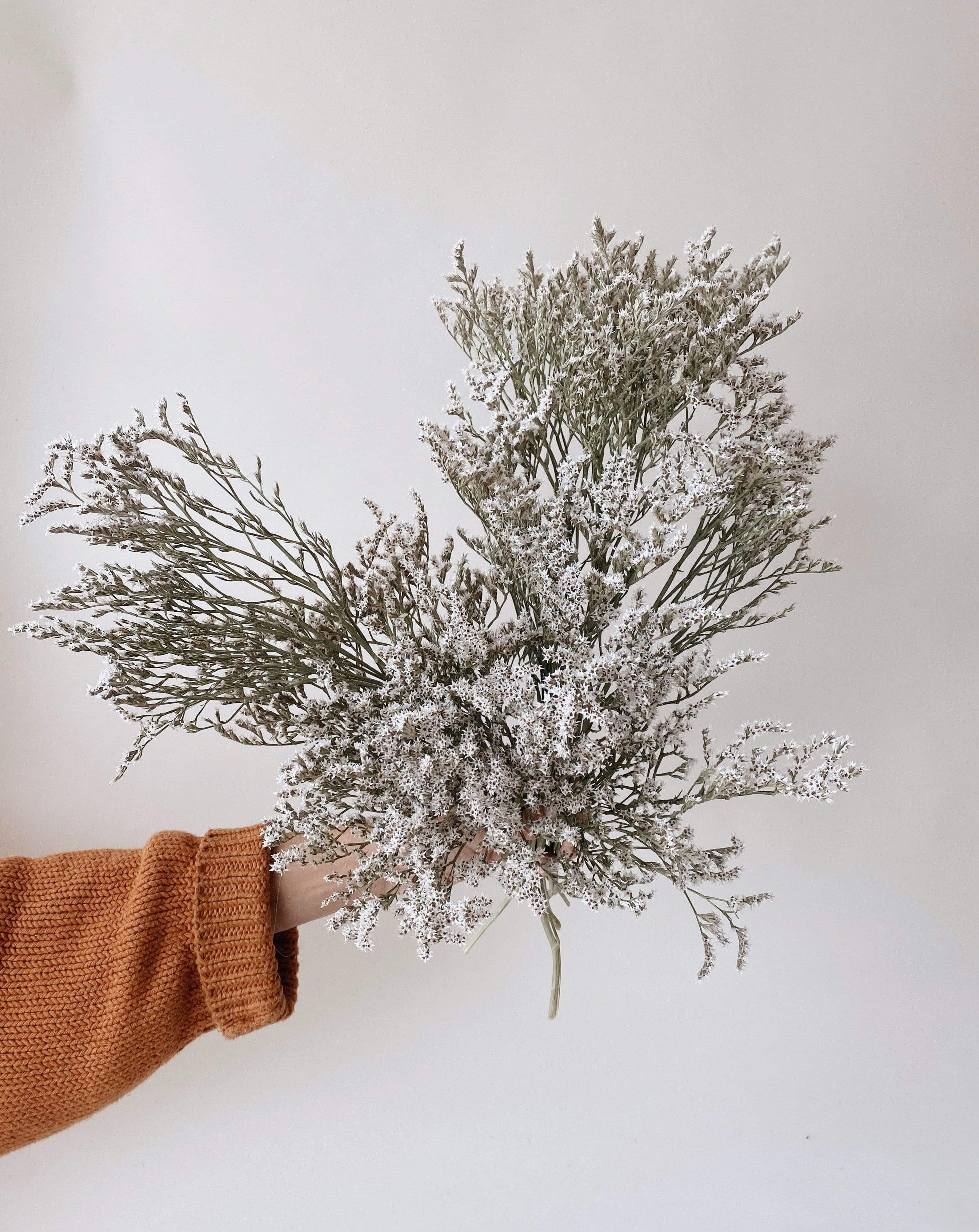 Dried German Statice - Image 4