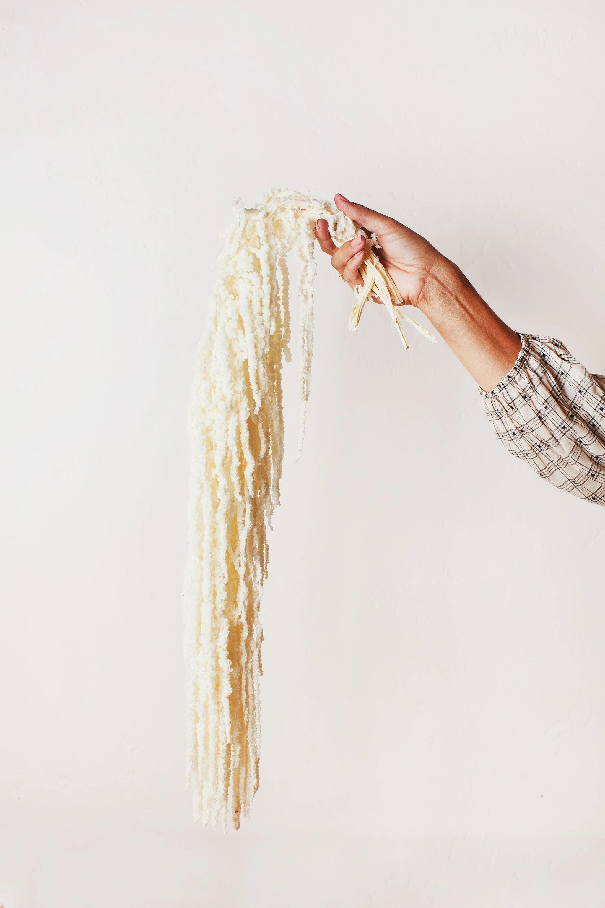 White Hanging Amaranthus - Image 3