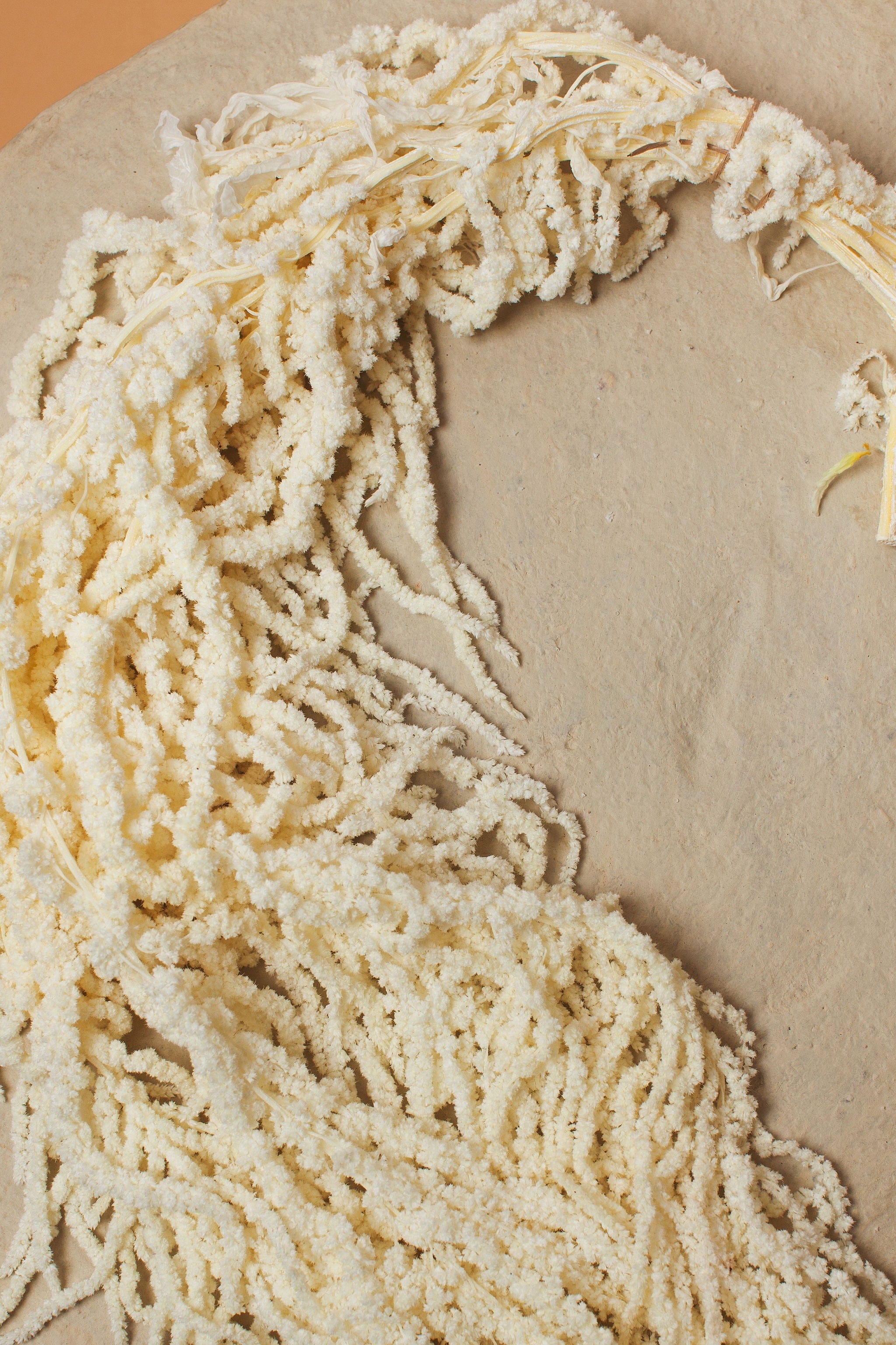 White Hanging Amaranthus - Image 4