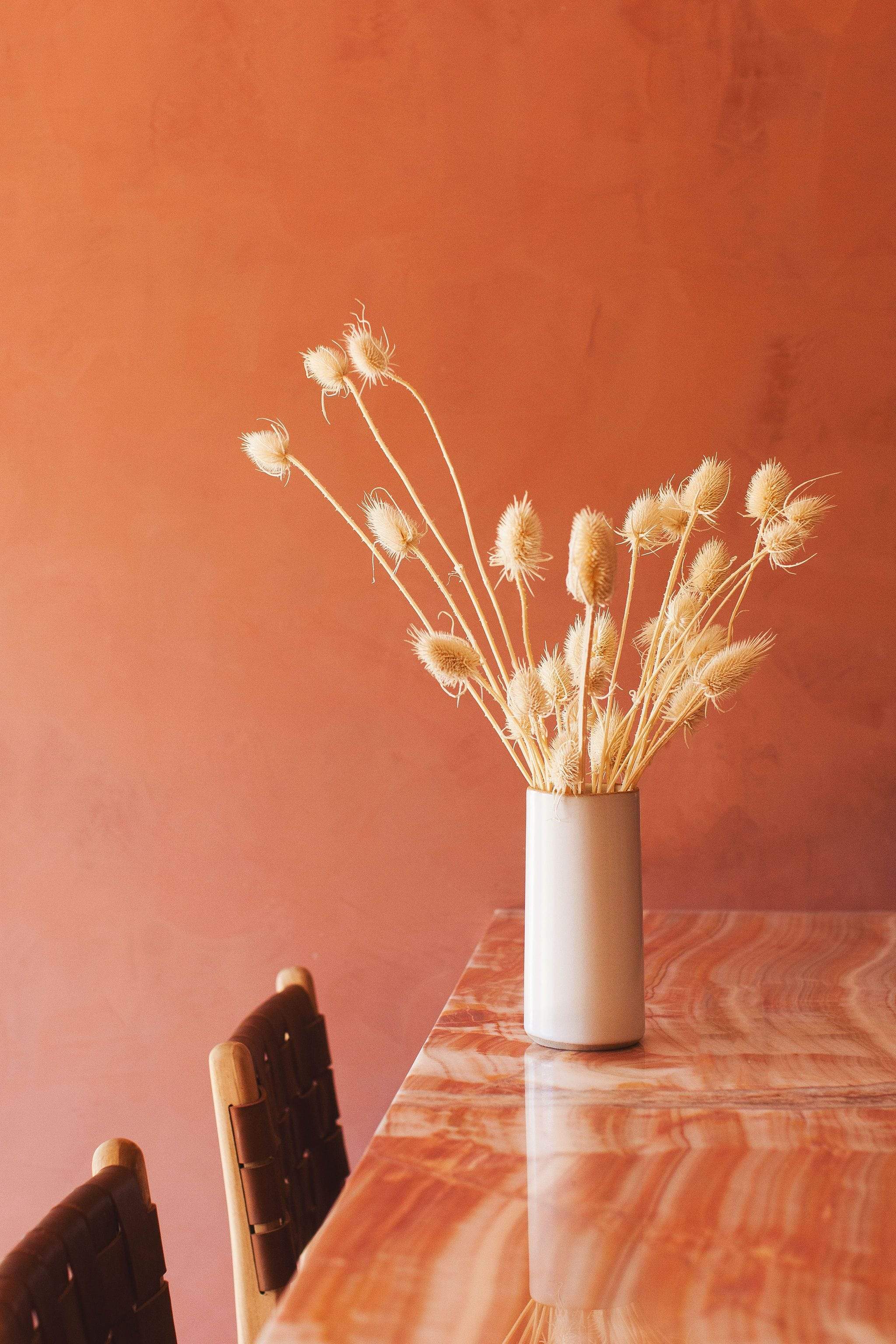 Dried White Thistle - Image 4