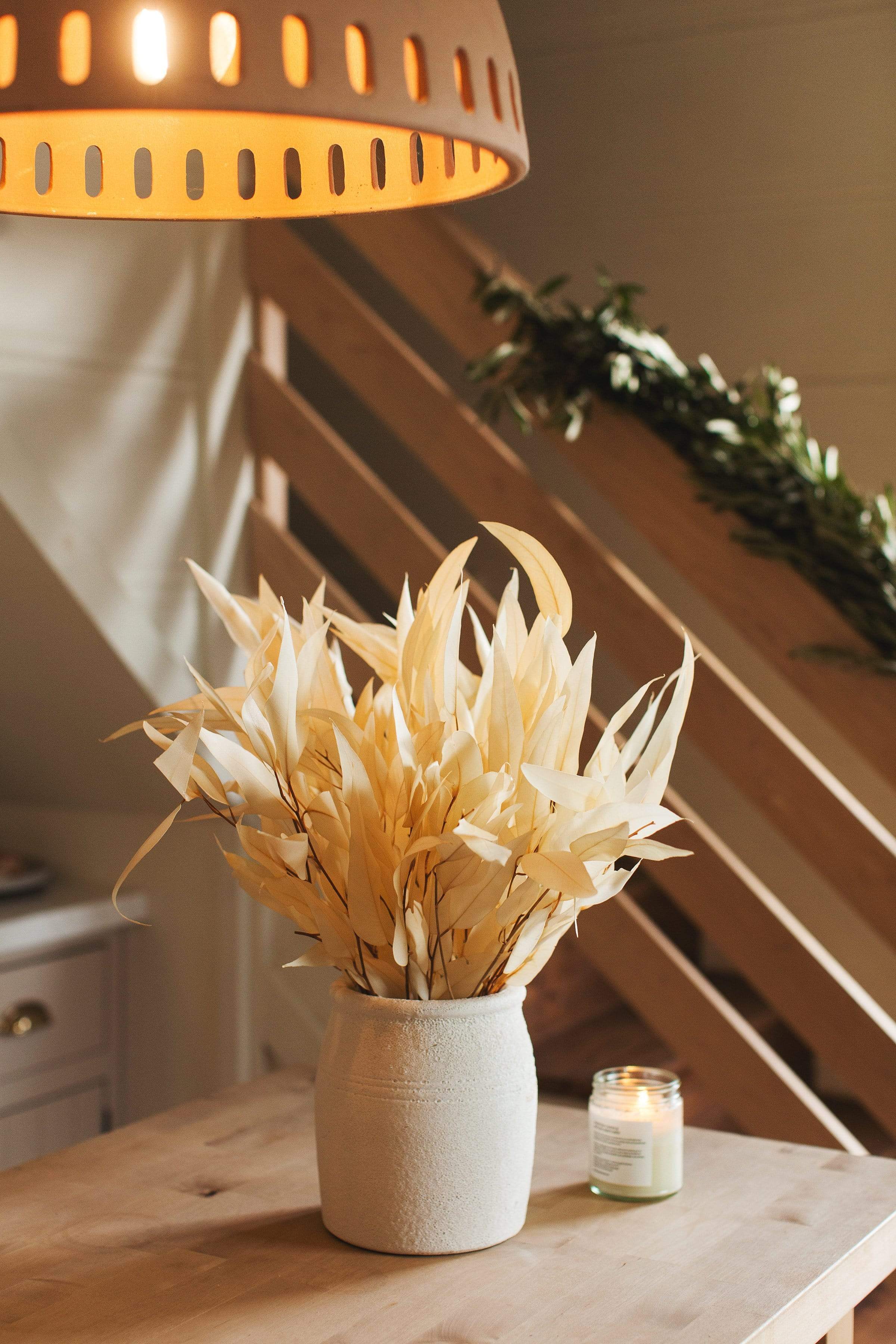 Preserved White Willow Eucalyptus - Image 4