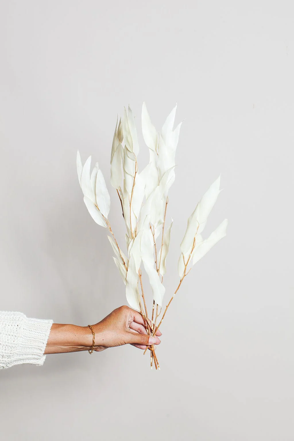 Preserved White Willow Eucalyptus - Image 5